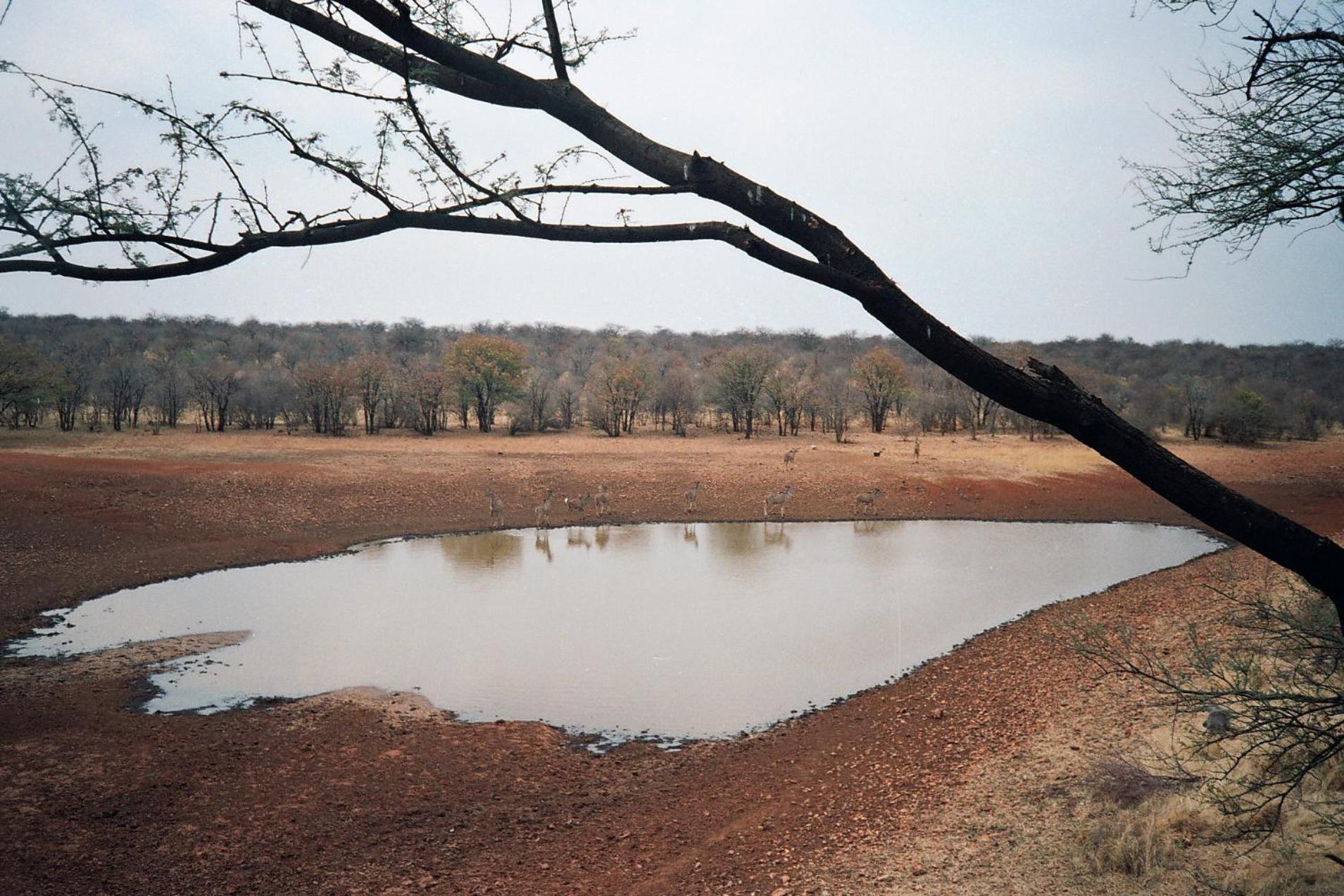 אוטג'ו Onduri Lodge מראה חיצוני תמונה