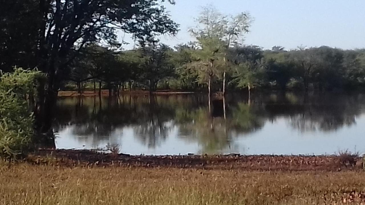 אוטג'ו Onduri Lodge מראה חיצוני תמונה